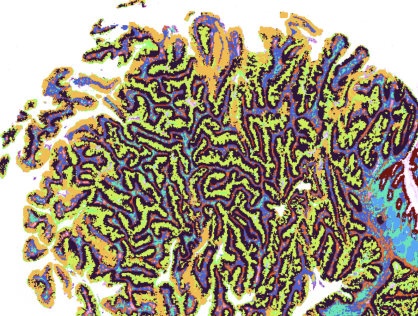 Spatial Multiomics Services